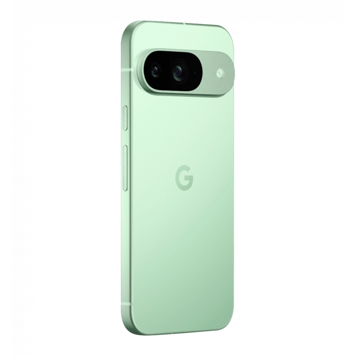 Смартфон Google Pixel 9 12/128 ГБ Wintergreen