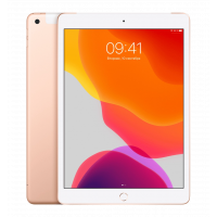 Apple iPad (2019) 10.2 Wi-Fi 32GB Gold (MW762) Used