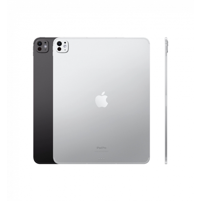 iPad Pro 13 M4 (2024) Wi-Fi + Cellular with Standard Glass 256GB Silver (MVXT3)