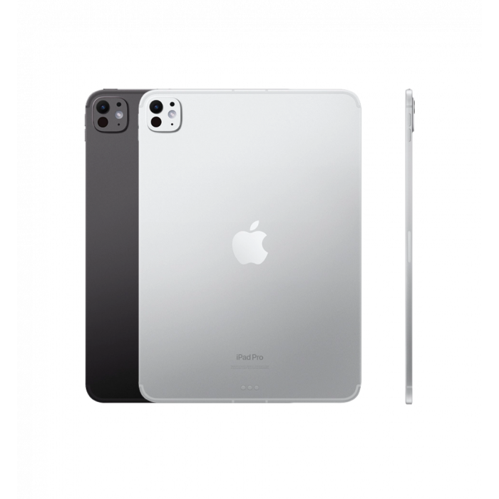 iPad Pro 11 M4 (2024) Wi-Fi + Cellular with Standard Glass 512GB Silver (MVW43)