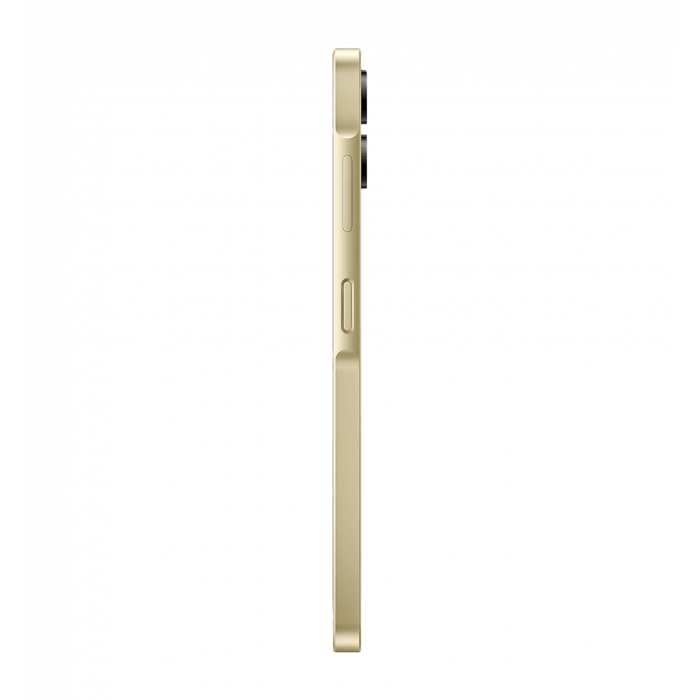 Смартфон Samsung Galaxy A06 4/128GB Gold (SM-A065FZDGSEK)