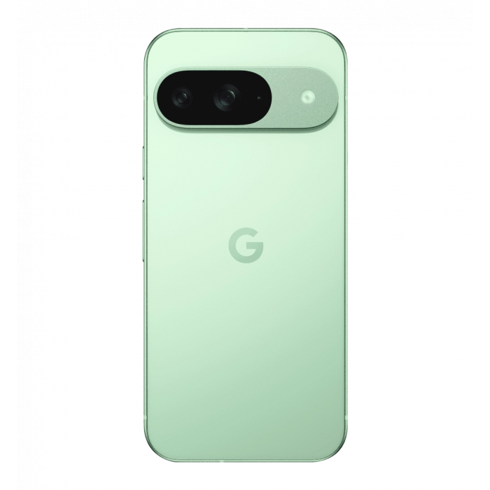 Смартфон Google Pixel 9 12/128 ГБ Wintergreen