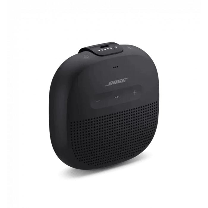 Portable speaker Bose Soundlink Flex Bluetooth Cypress Green