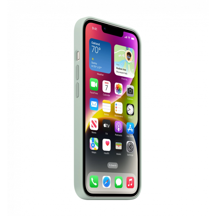 Чохол Силіконовий iPhone 14 Silicone Case with MagSafe Succulent (MPT13)