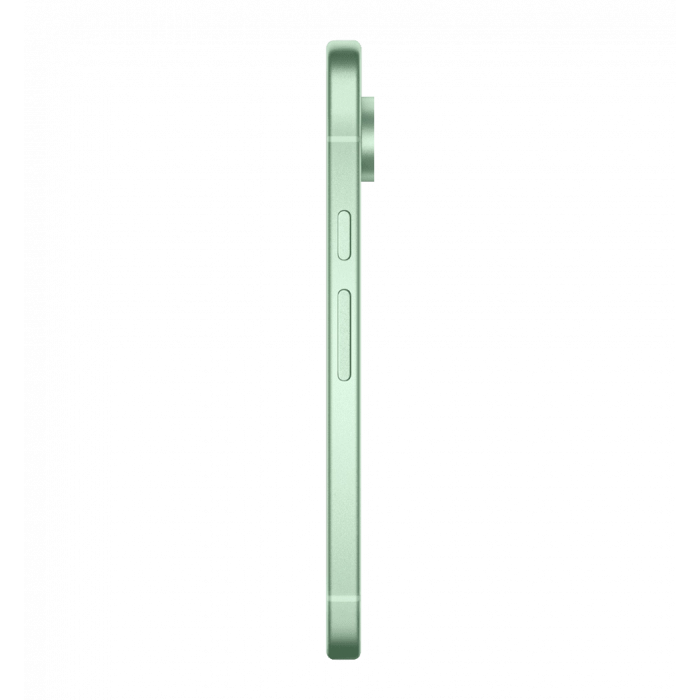Смартфон Google Pixel 9 12/256GB Wintergreen