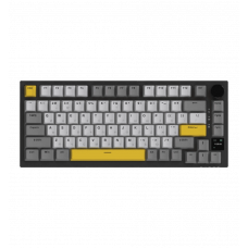 Бездротова механічна клавіатура Ajazz AK820 PRO 75% Flying Fish Switch Black RGB (AK820PRO-FF-BGY)