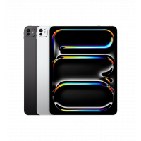 iPad Pro 13 M4 (2024) Wi-Fi + Cellular with Standard Glass 1TB Silver (MVXX3)