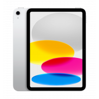 10.9" iPad Wi-Fi + Cellular 256GB 2024 (MCMN4NF/A) UA - Silver