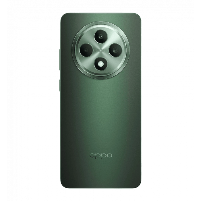 Смартфон OPPO Reno12 FS 12/512GB (black green)
