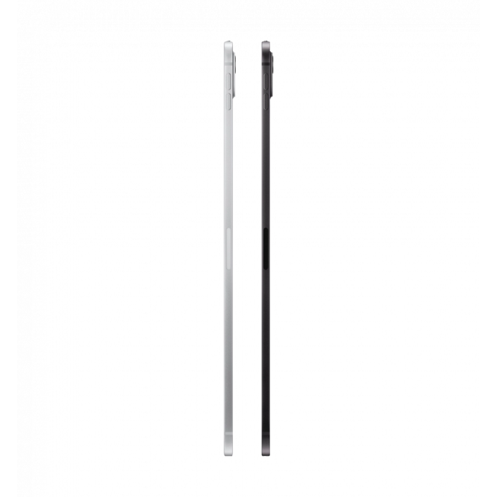 iPad Pro 11 M4 (2024) Wi-Fi + Cellular with Standard Glass 256GB Space Black (MVW13)