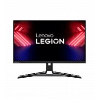 Monitor 24.5
