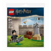 Конструктор LEGO recruitment Harry Potter Урок по Квиддичу