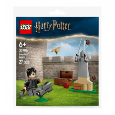 Конструктор LEGO recruitment Harry Potter Урок з Квідичу