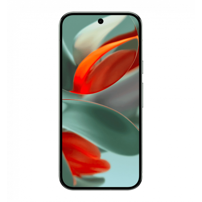Смартфон Google Pixel 9 Pro 16/256GB Hazel